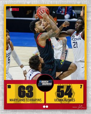 Image post by @terrapinhoops on Instagram