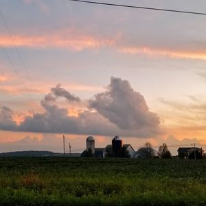 Image post by @islamdaghestani on Instagram