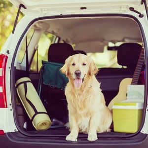 Image post by @allstate on Instagram