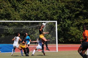 Image post by @SouthernMissSoc on Twitter