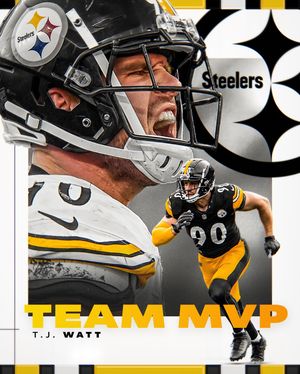 Image post by @steelers on Instagram