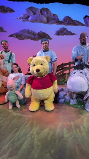 Video post by @winniethepoohshow on TikTok