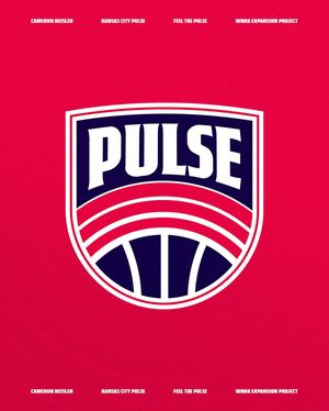 Image post by @camneisler.psd on Instagram