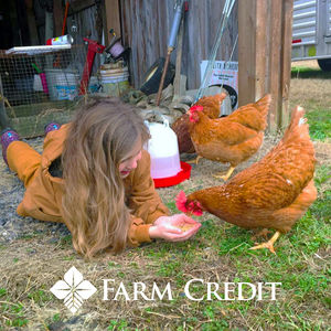 Image post by @farmcredit on Instagram