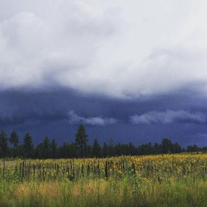 Image post by @nauflagstaff on Instagram