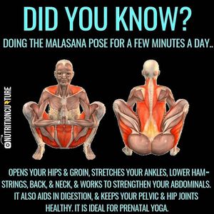 Image post by @thetrainingmanual on Instagram