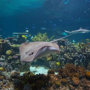 Image post by @discovery on Instagram