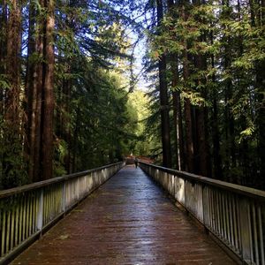 Image post by @ucsc on Instagram