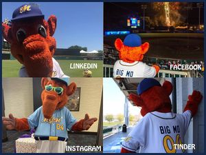 Image post by @biscuitbaseball on Instagram