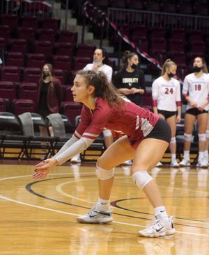 Image post by @iupvb on Twitter