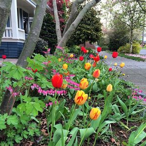 Image post by @seattleu on Instagram