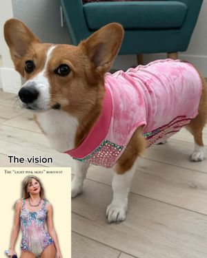 Image post by @ziggy_thecorg on Instagram