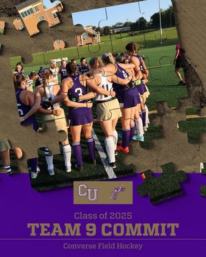 Image post by @valkyriesfieldhockey on Instagram