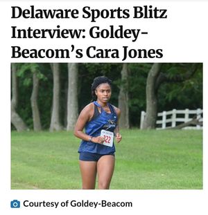 Image post by @delawaresportsblitz on Instagram