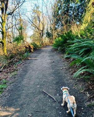 Image post by @amandakl on Instagram