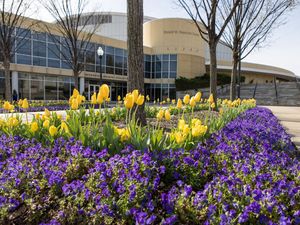 Image post by @utulsa on Instagram