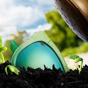 Image post by @knockaround on Instagram