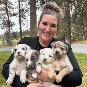 Image post by @spokhumanesoc on Instagram