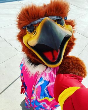 Image post by @utahswoop on Instagram
