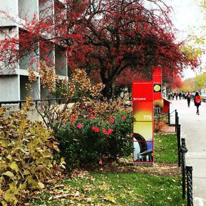 Image post by @bostonu on Instagram
