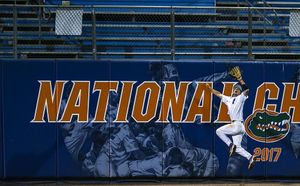 Image post by @gatorsports on Instagram