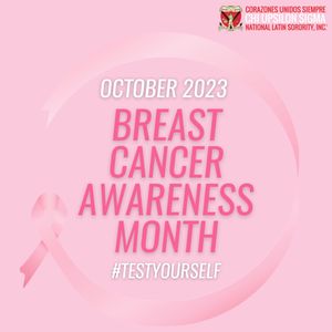 Image post by @chiupsilonsigma on Instagram