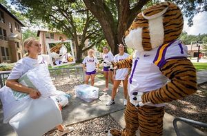 Image post by @lsumiketiger on Instagram