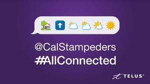 Image post by @calstampeders on Instagram