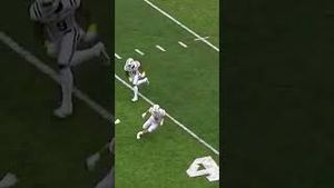 Video post by @cfbonfox on YouTube