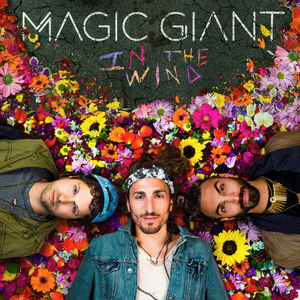 Image post by @magicgiant on Instagram