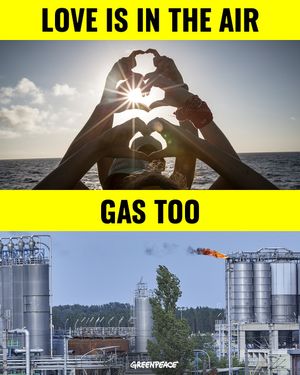 Image post by @greenpeace on Instagram