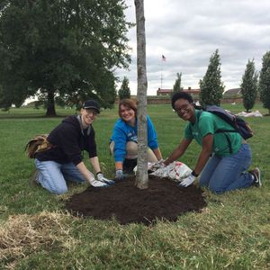 Image post by @NatlParkService on Twitter