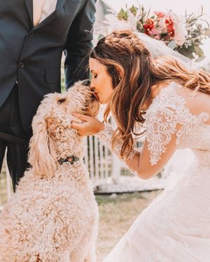 Image post by @theknot on Instagram