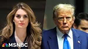 Video post by @msnbc on YouTube