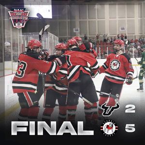 Image post by @UGAHockey on Twitter