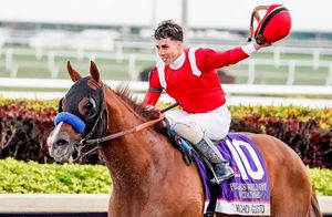 Image post by @pegasusworldcup on Instagram