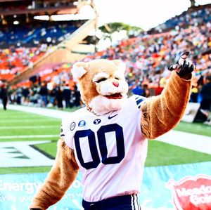 Image post by @cosmo_cougar on Instagram