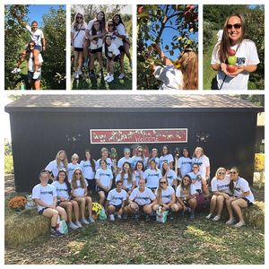Image post by @rhodysoftball on Instagram