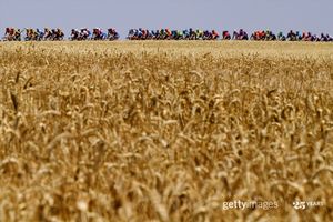 Image post by @gettysport on Instagram