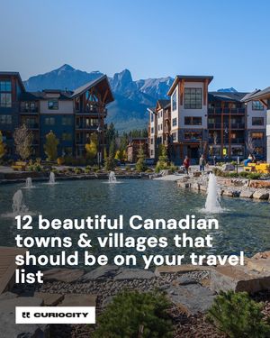 Image post by @curiocitycalgary on Instagram