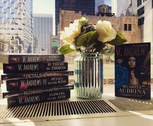 Image post by @gallerybooks on Instagram