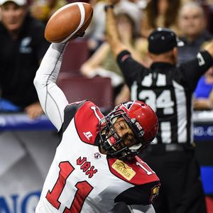 Image post by @jaxsharks on Instagram