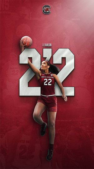 Image post by @GamecockWBB on Twitter