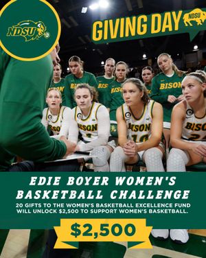 Image post by @ndsuwbb on Instagram