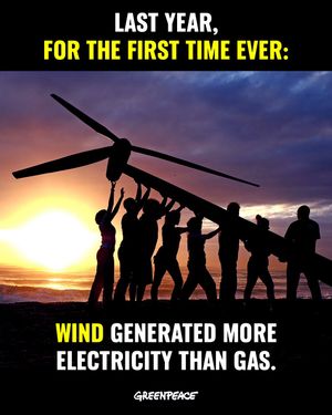 Image post by @greenpeace on Instagram