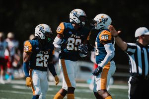 Image post by @goetbutigers on Instagram