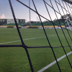 Image post by @tampabayrowdies on Instagram