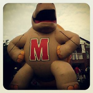 Image post by @terpswrestling on Instagram