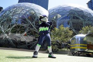 Image post by @blitztheseahawk on Instagram