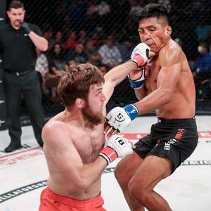 Image post by @bellatormma on Instagram